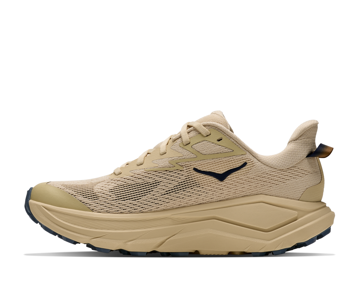 Womens Hoka Challenger 8 (D Wide)