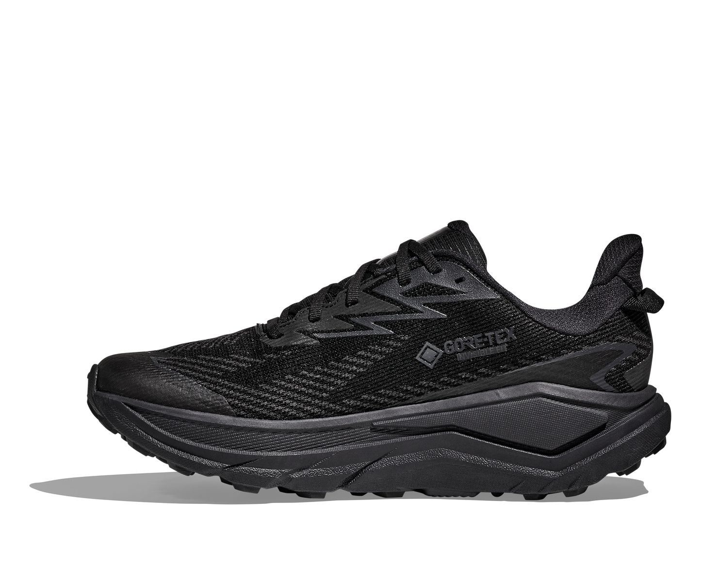 Mens Hoka Challenger 8 GTX (2E Wide)