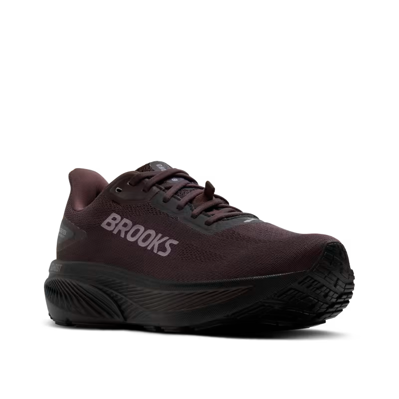 Womens Brooks Ghost 18 GTX