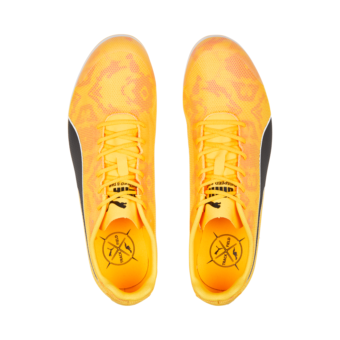 Puma evoSPEED Star 8