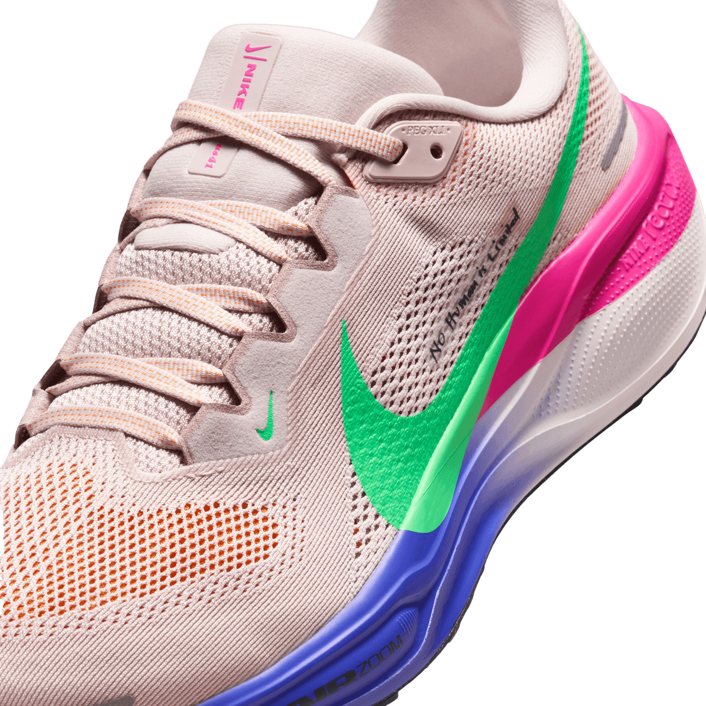 Mens Nike Pegasus 41 EK