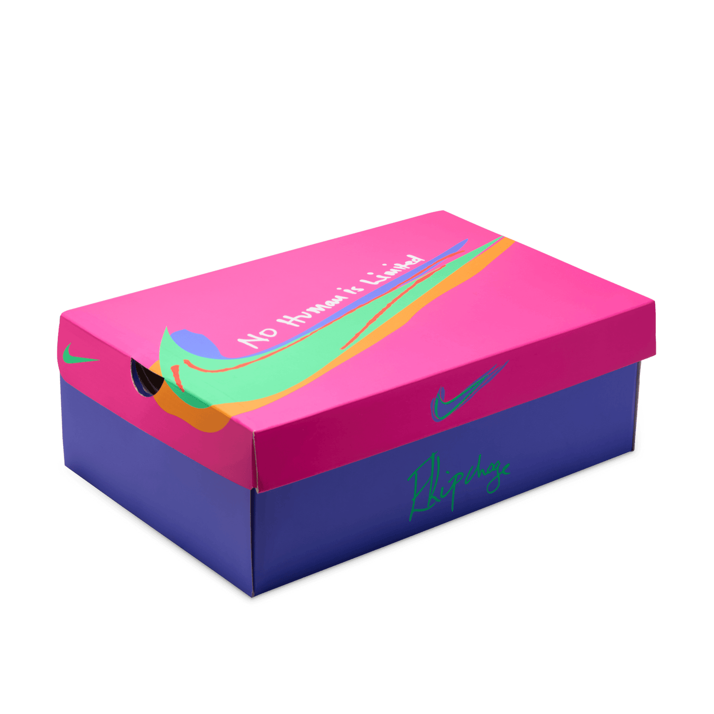 Mens Nike Vaporfly 4 EK