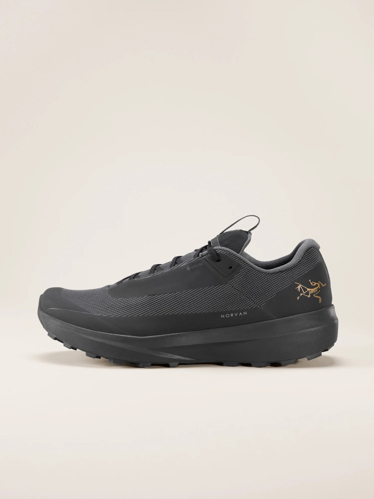 Mens Arc'teryx Norvan LD 4 GTX