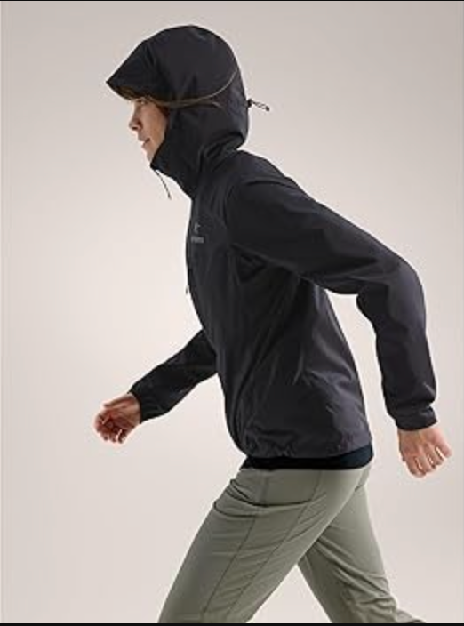 Womens Arc'teryx Squamish Hoody