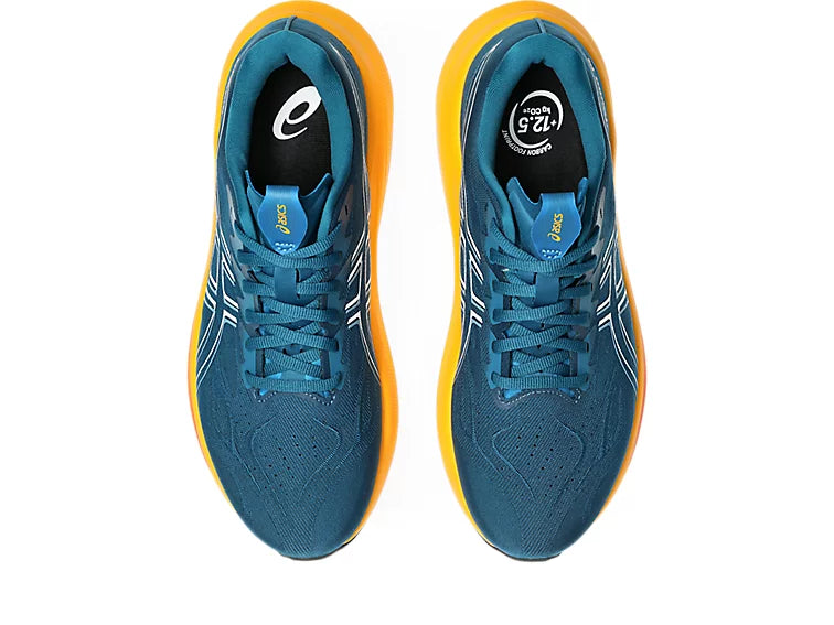 Mens Asics GT-2000 14