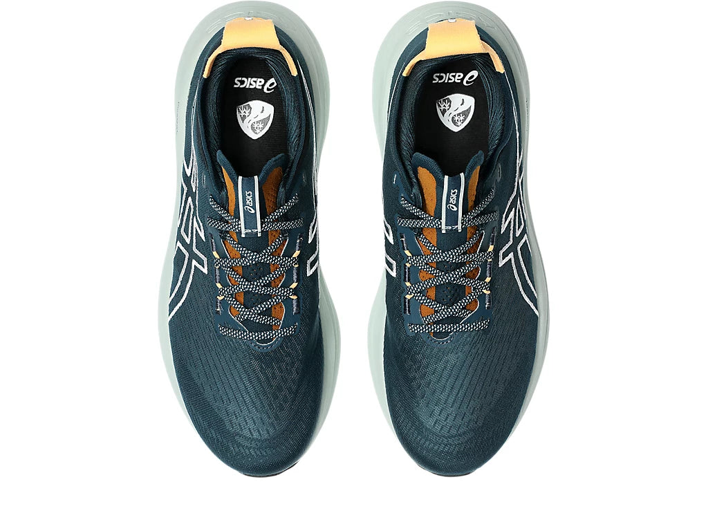 Mens Asics Gel-Nimbus 27 TR NB