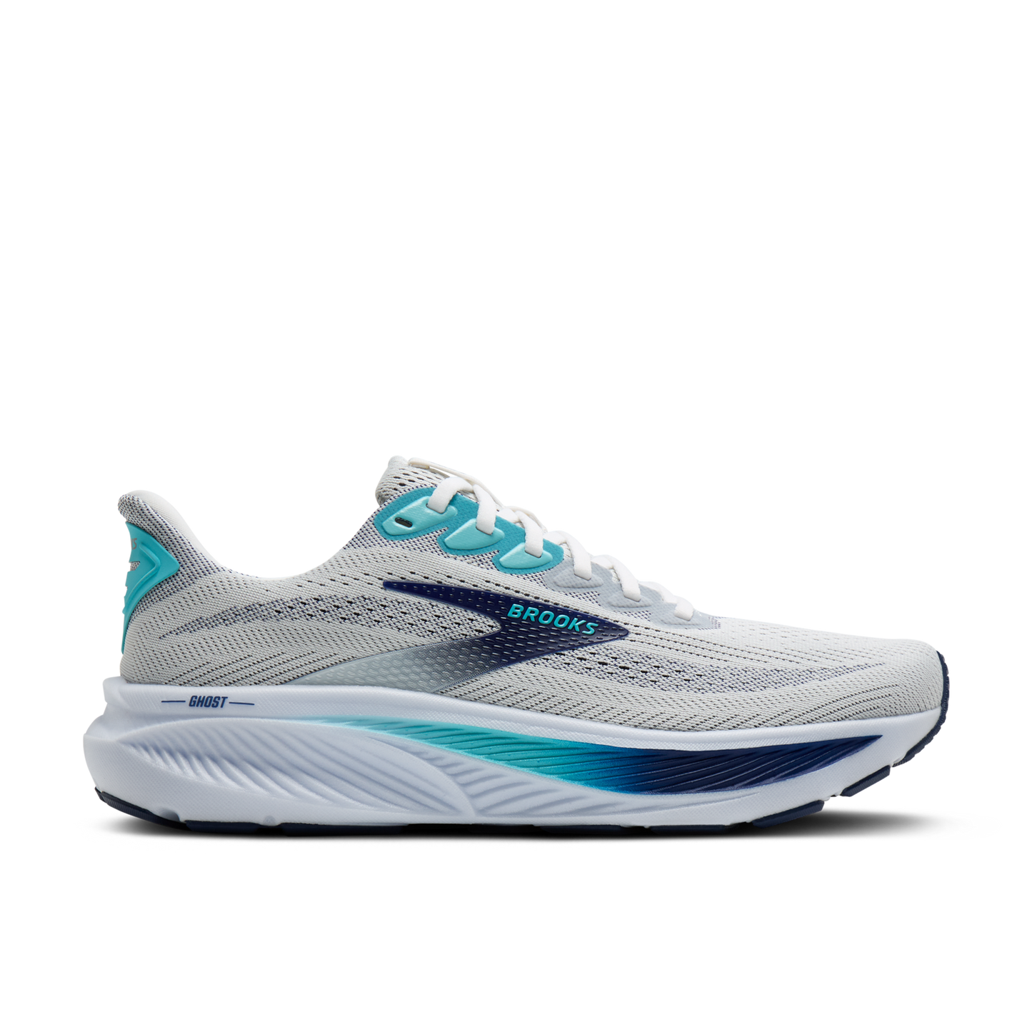 Mens Brooks Ghost 17