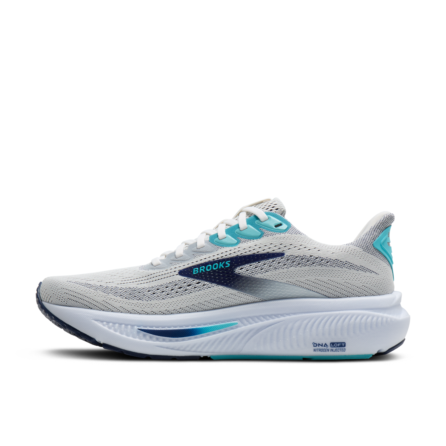 Mens Brooks Ghost 17