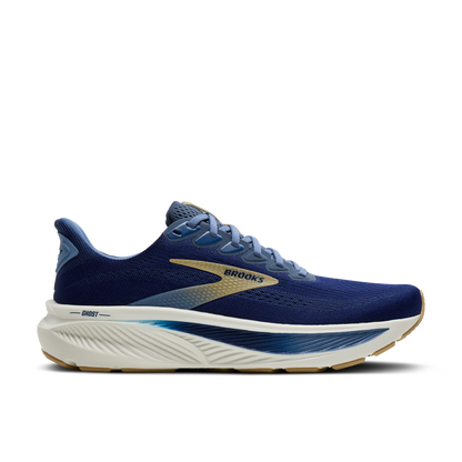 Mens Brooks Ghost 17