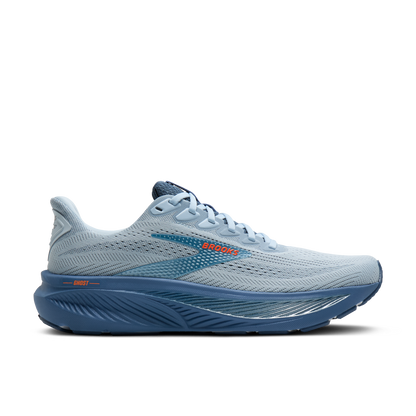 Mens Brooks Ghost 17