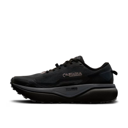 Mens Brooks Cascadia 20 GTX