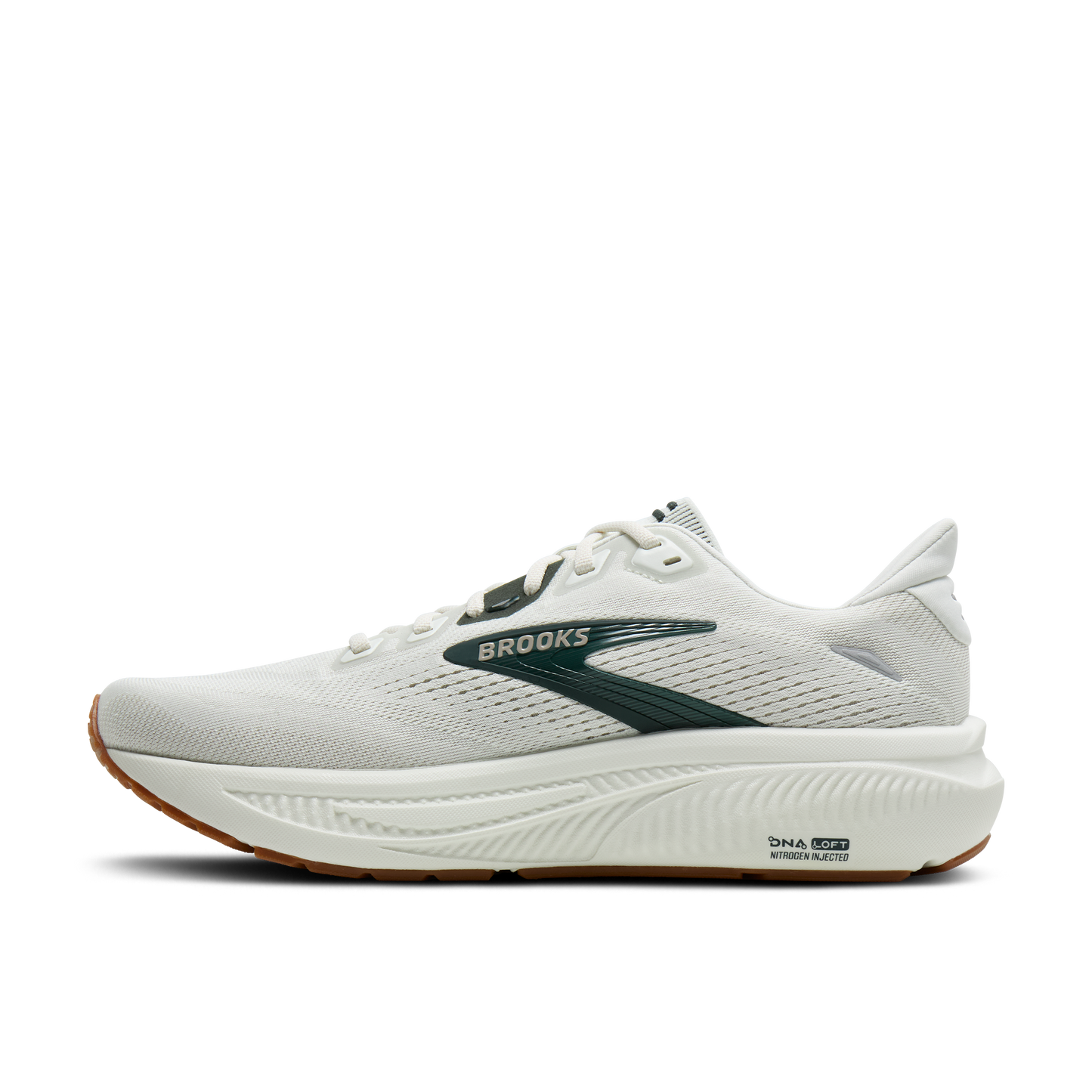 Mens Brooks Ghost 18