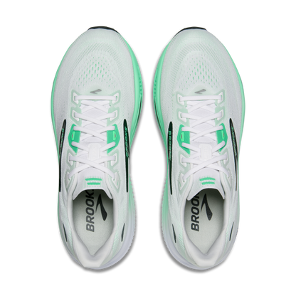 Mens Brooks Ghost 18