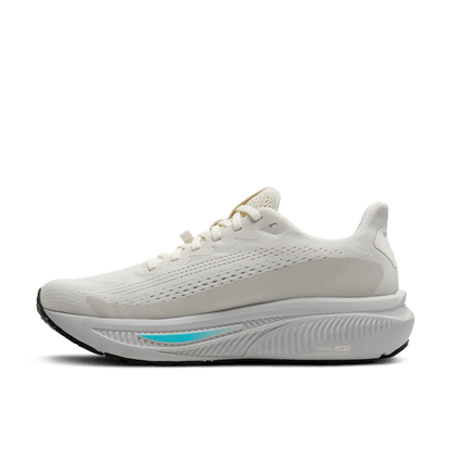 Womens Brooks Ghost 17 GTX