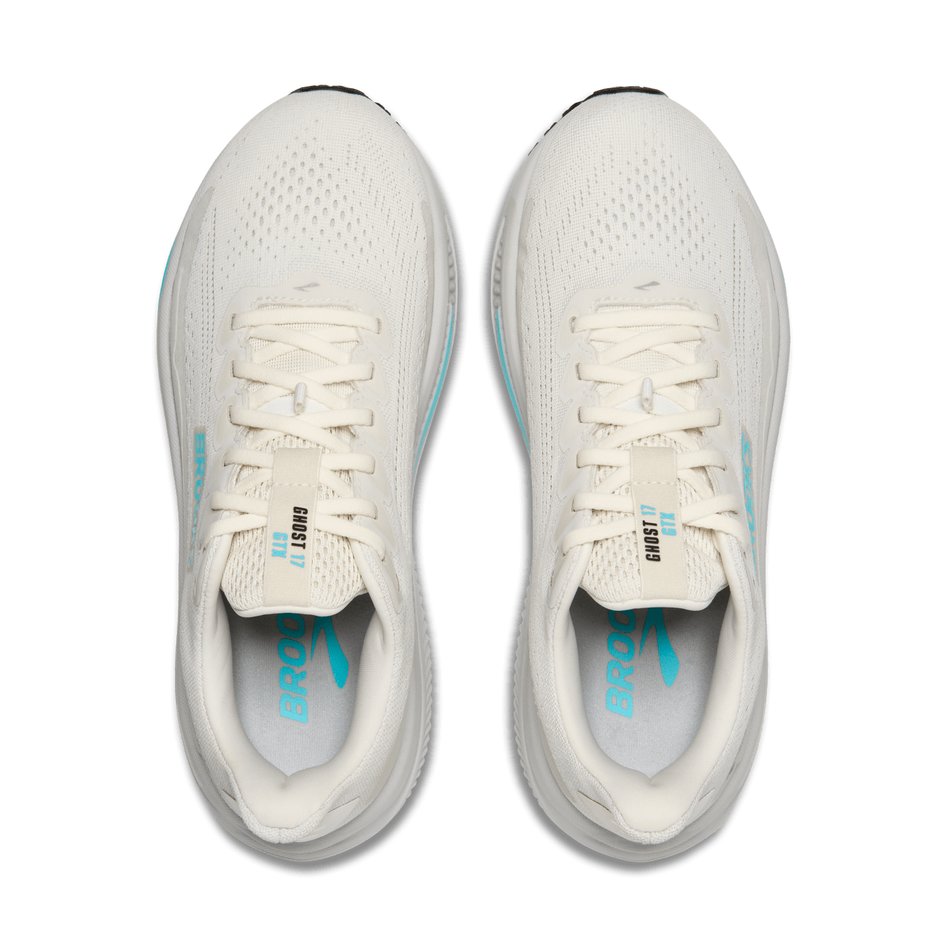 Womens Brooks Ghost 17 GTX