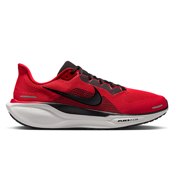 Mens Nike Air Zoom Pegasus 41