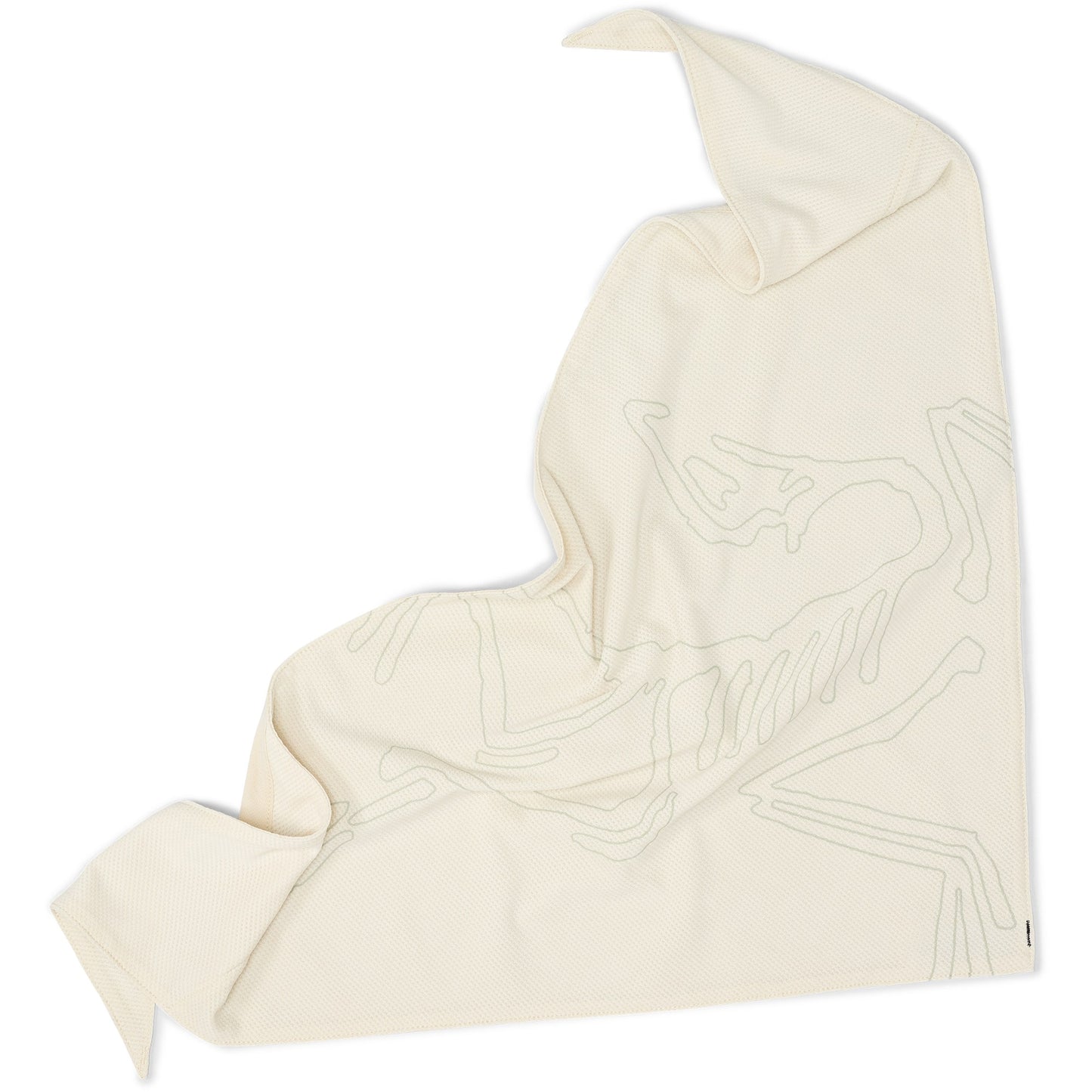 Arc'teryx Sinsolo Bandana