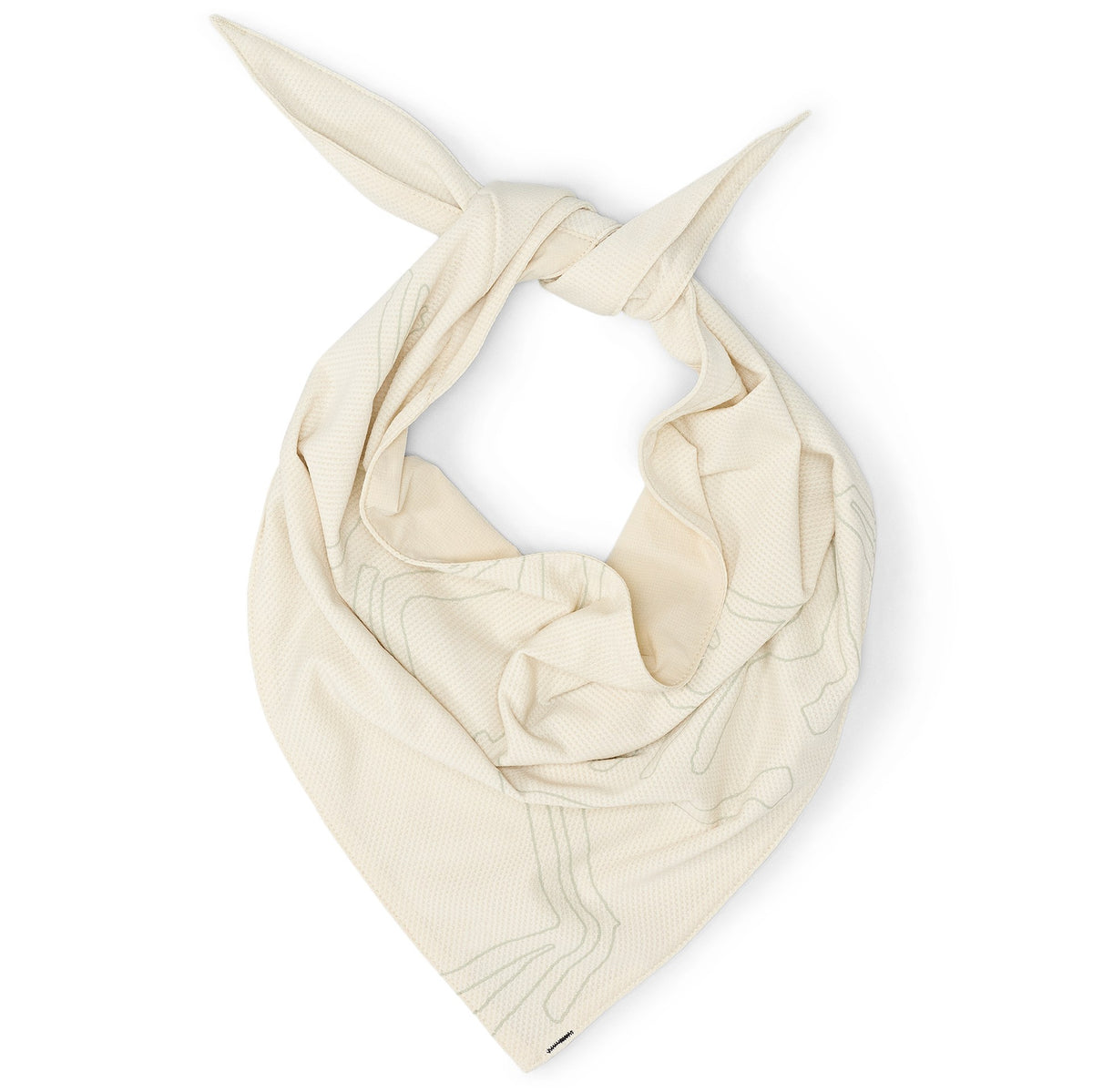 Arc'teryx Sinsolo Bandana