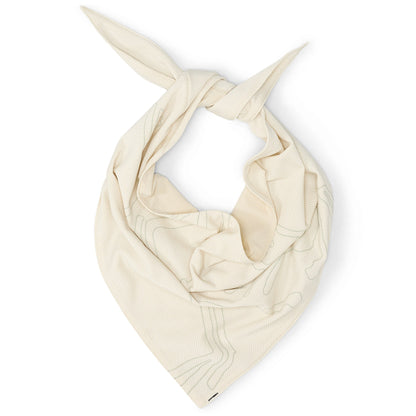 Arc'teryx Sinsolo Bandana
