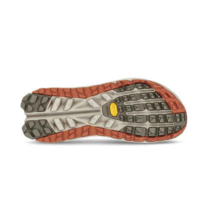 Mens Altra Olympus Hike Low GTX 2