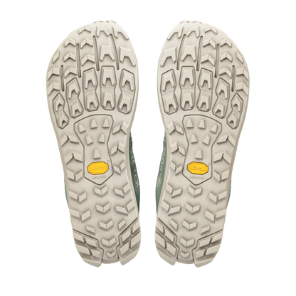 Mens Altra Lone Peak 9+ GTX