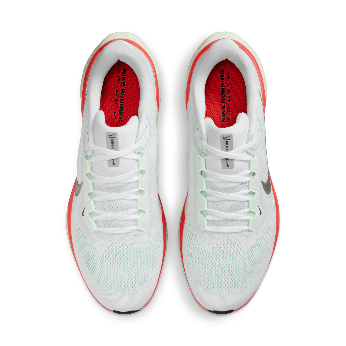 Mens Nike Air Zoom Pegasus 41