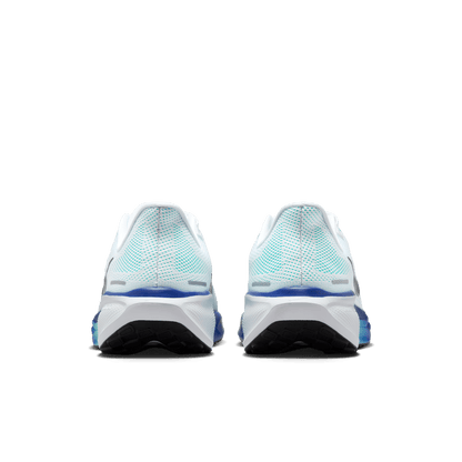 Mens Nike Air Zoom Pegasus 41