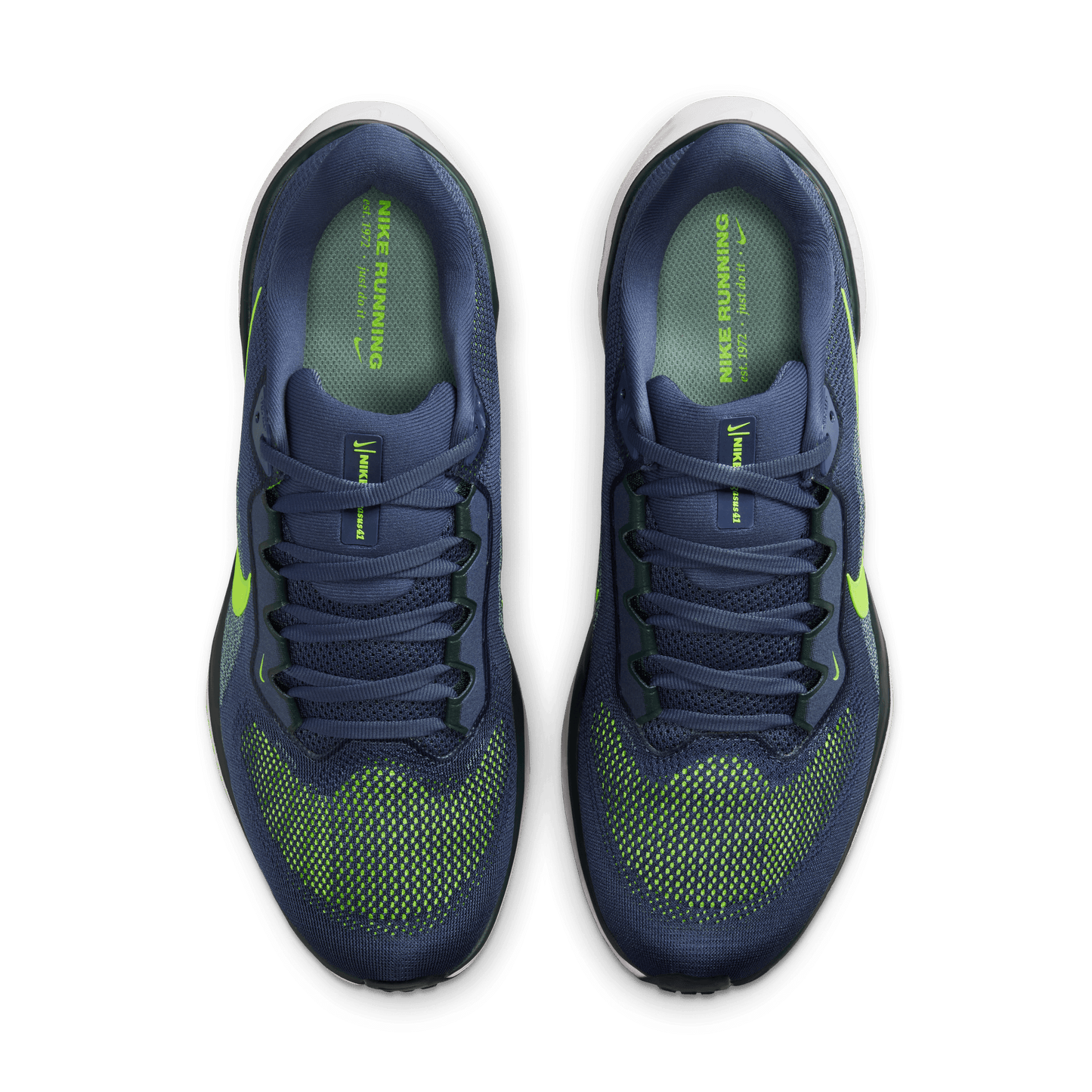 Mens Nike Air Zoom Pegasus 41