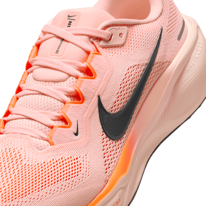 Mens Nike Air Zoom Pegasus 41