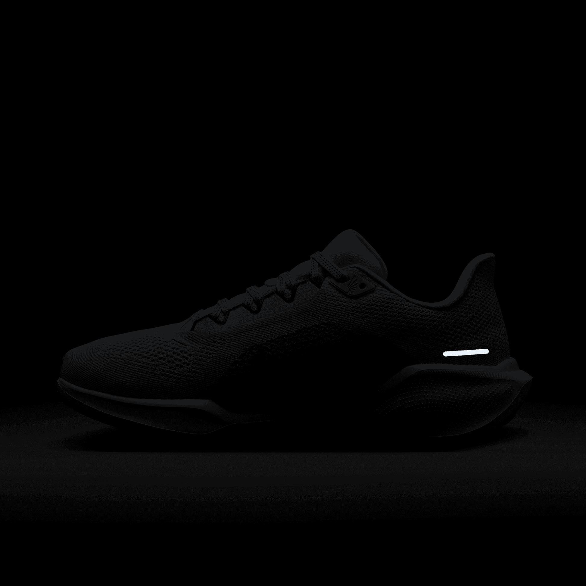 Womens Nike Air Zoom Pegasus 41 – The Running Company