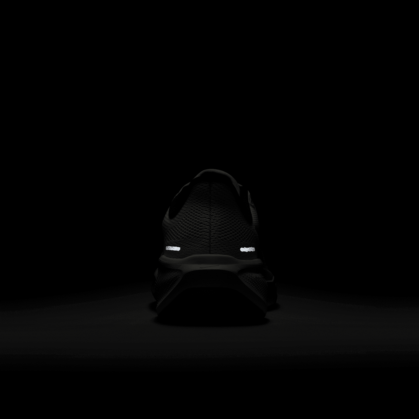 Womens Nike Air Zoom Pegasus 41