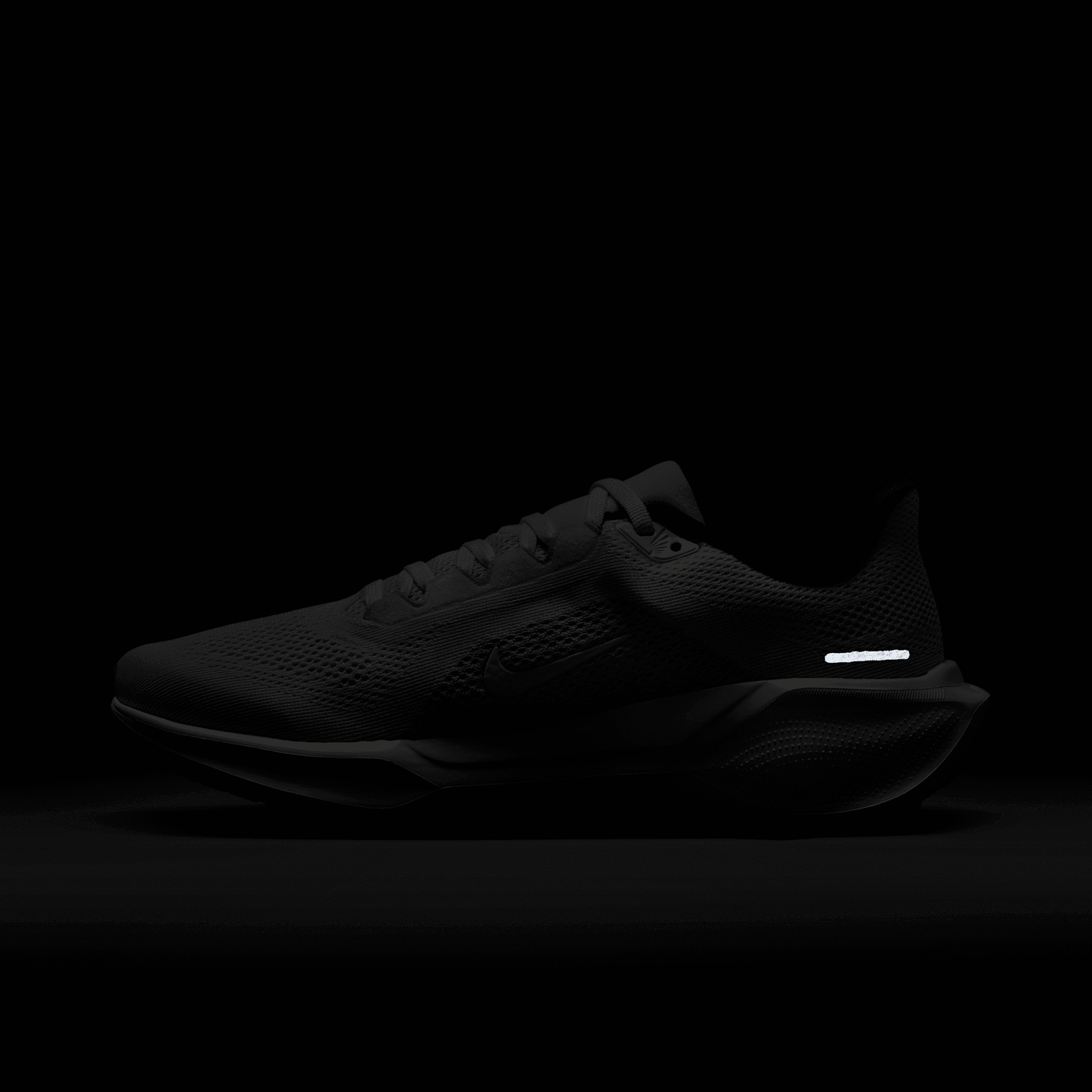 Womens Nike Air Zoom Pegasus 41