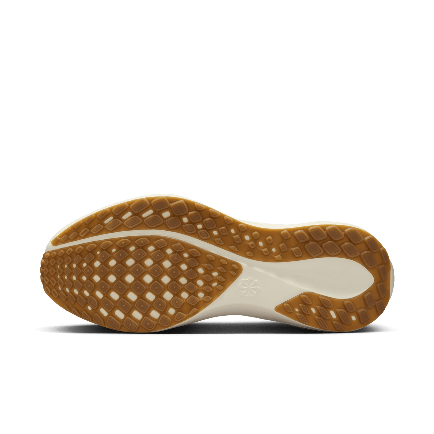 Womens Nike Air Zoom Pegasus 41