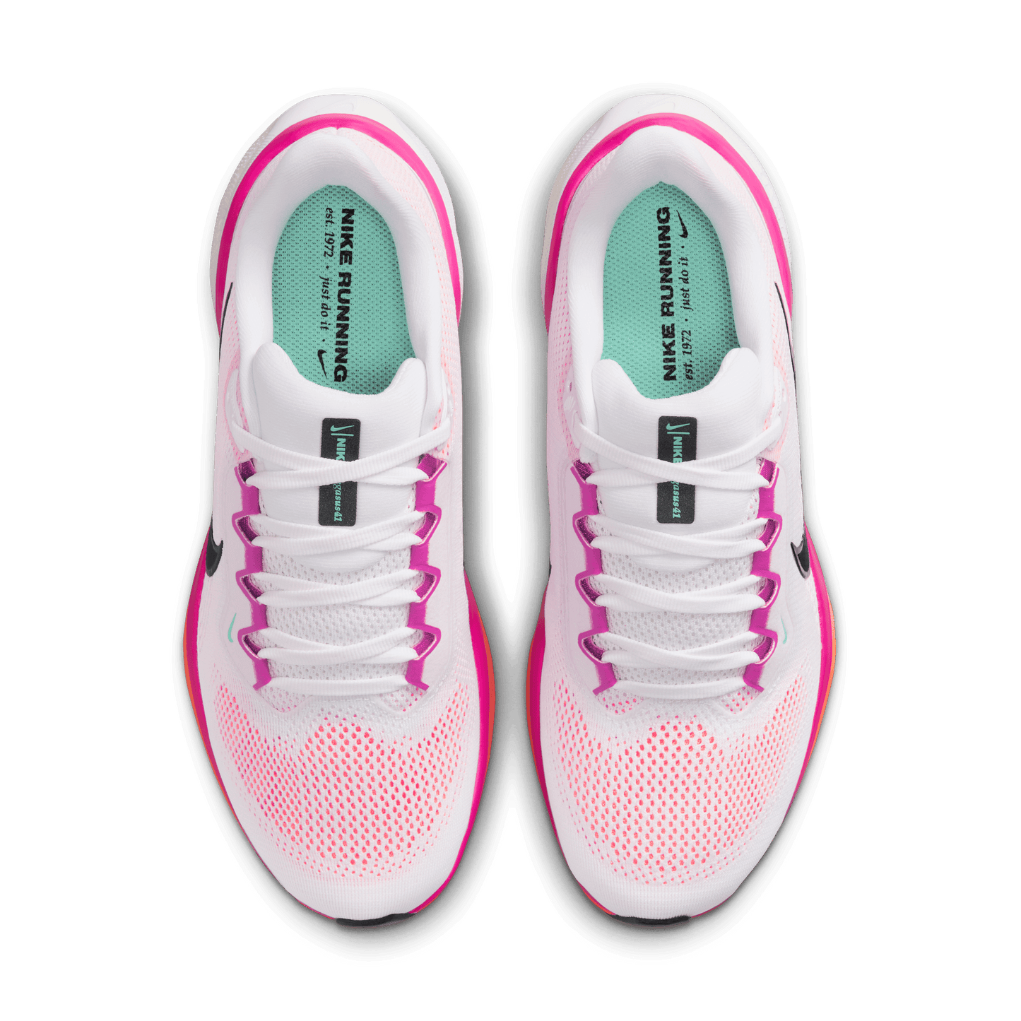 Womens Nike Air Zoom Pegasus 41