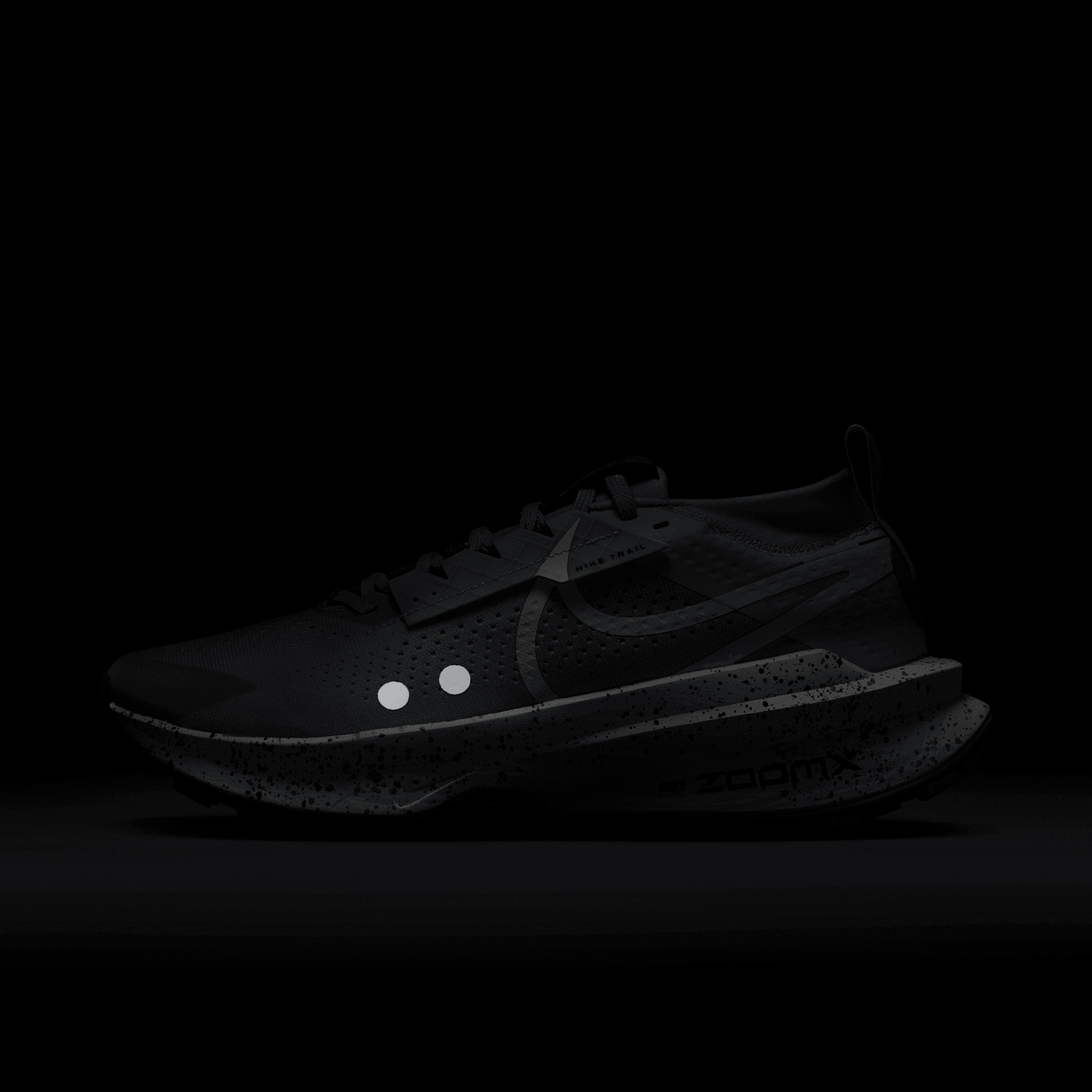 Womens Nike Zegama 2