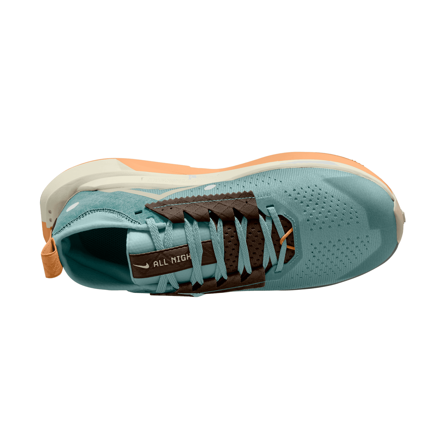 Womens Nike Zegama 2