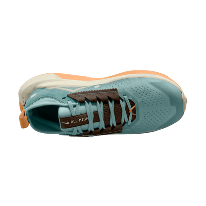 Womens Nike Zegama 2