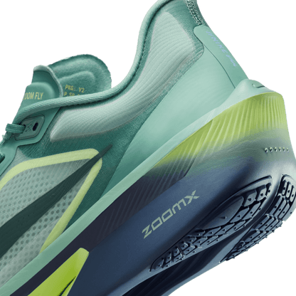 Mens Nike Zoom Fly 6