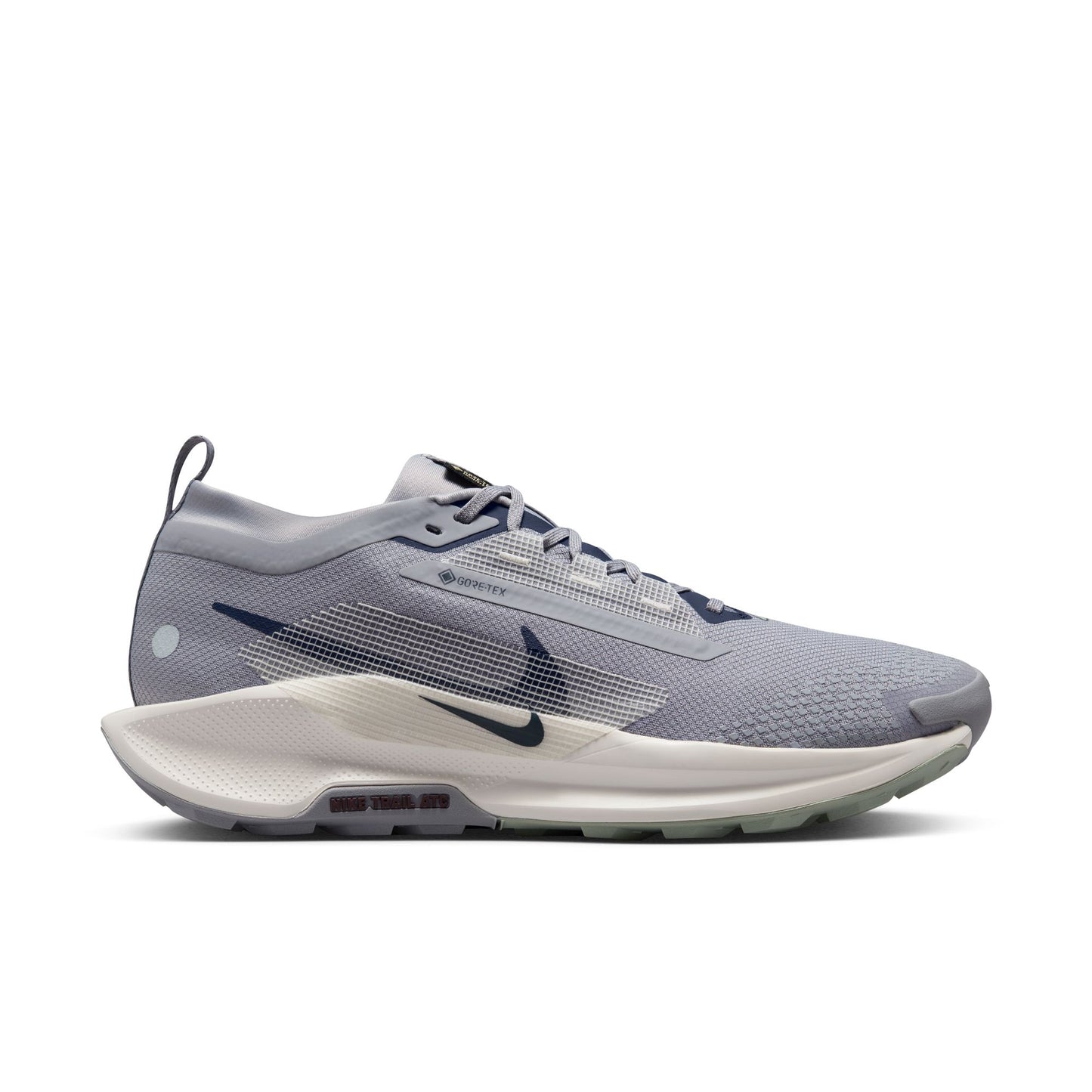 Mens Nike Pegasus Trail 5 GTX