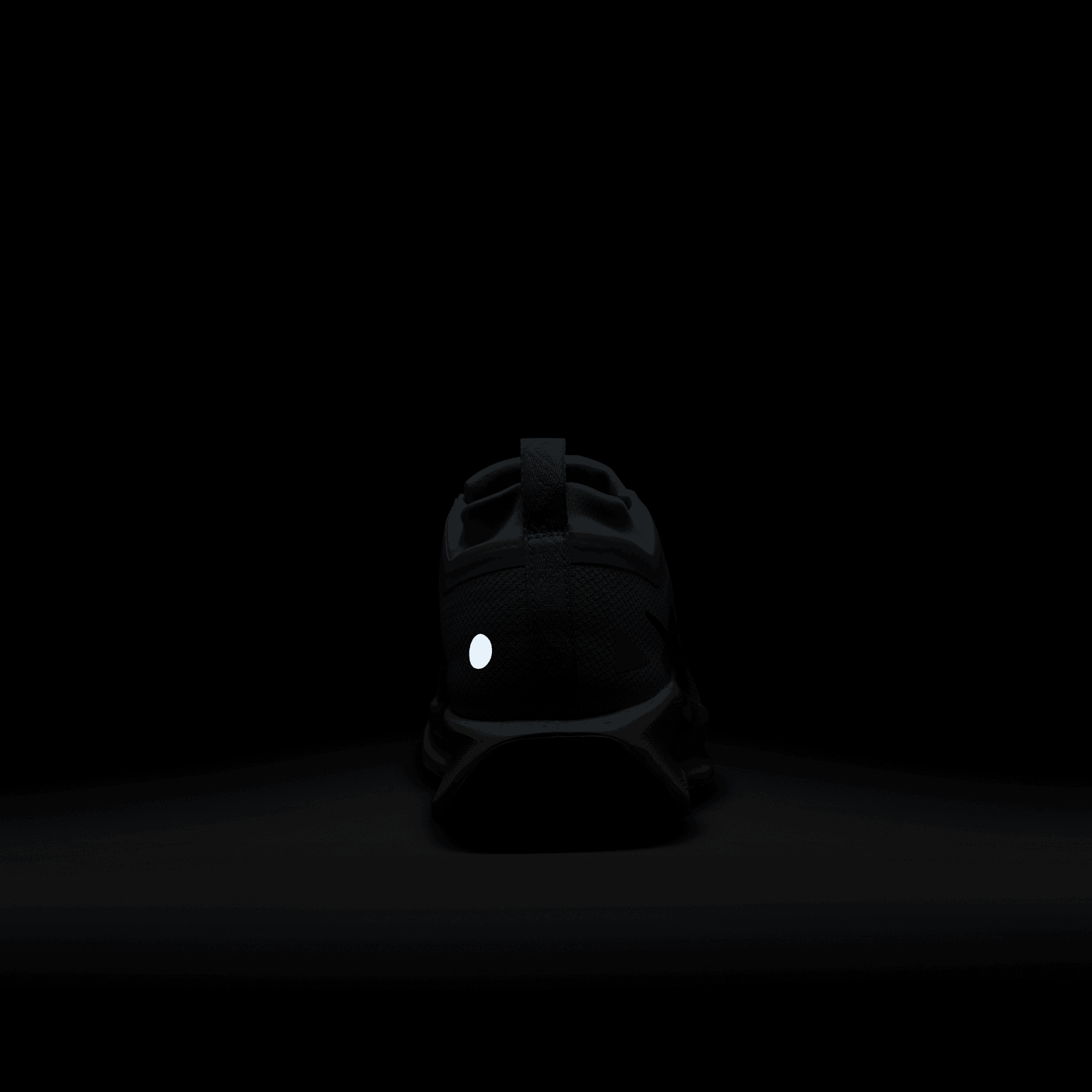 Mens Nike Pegasus Trail 5 GTX