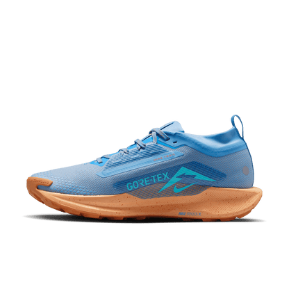 Mens Nike Pegasus Trail 5 GTX