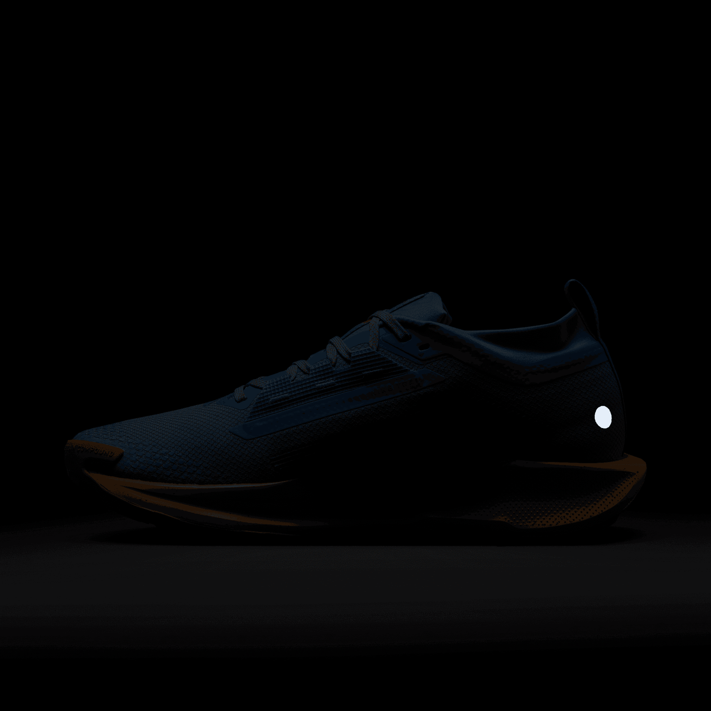 Mens Nike Pegasus Trail 5 GTX