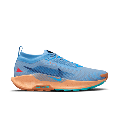 Mens Nike Pegasus Trail 5 GTX