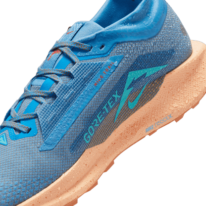 Mens Nike Pegasus Trail 5 GTX