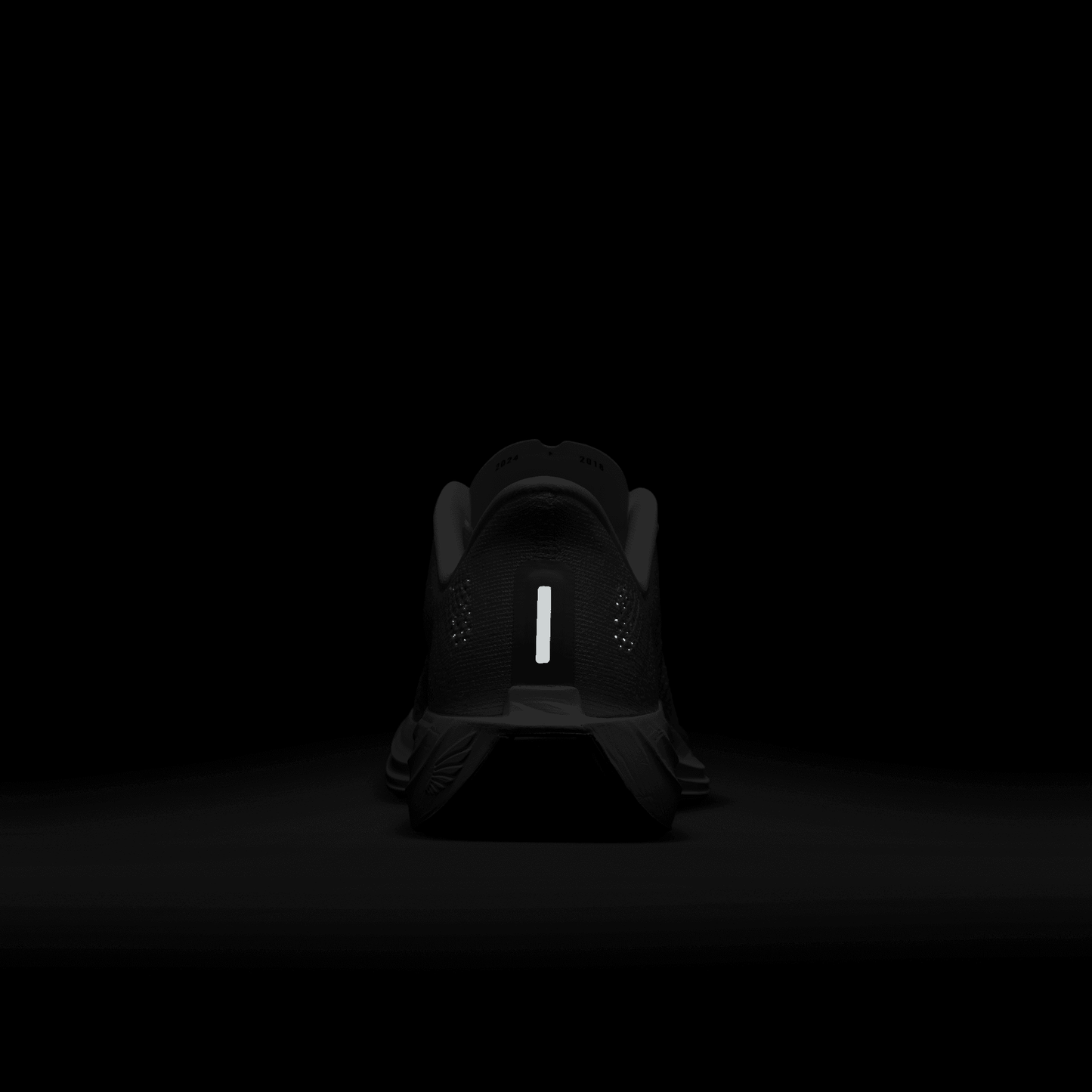 Womens Nike Pegasus Plus