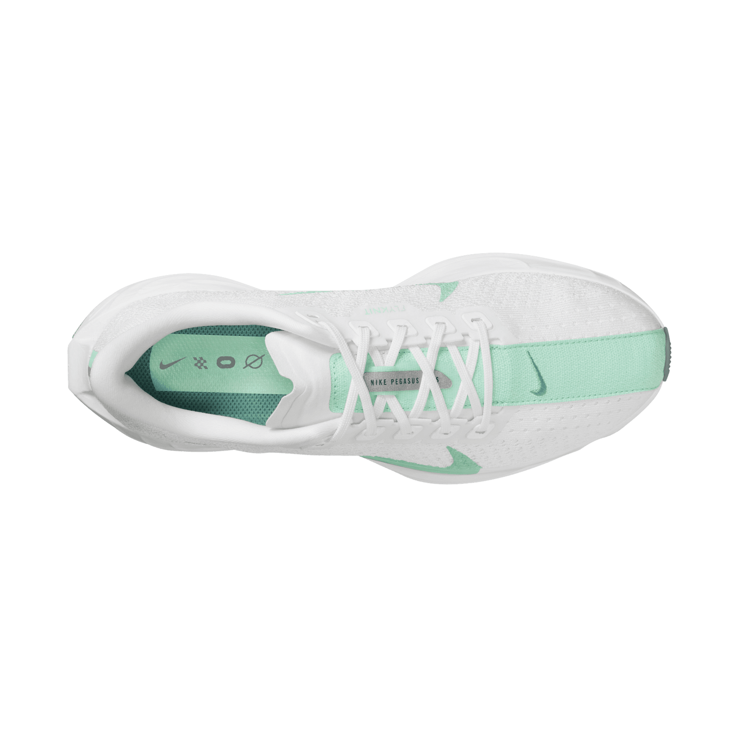 Womens Nike Pegasus Plus