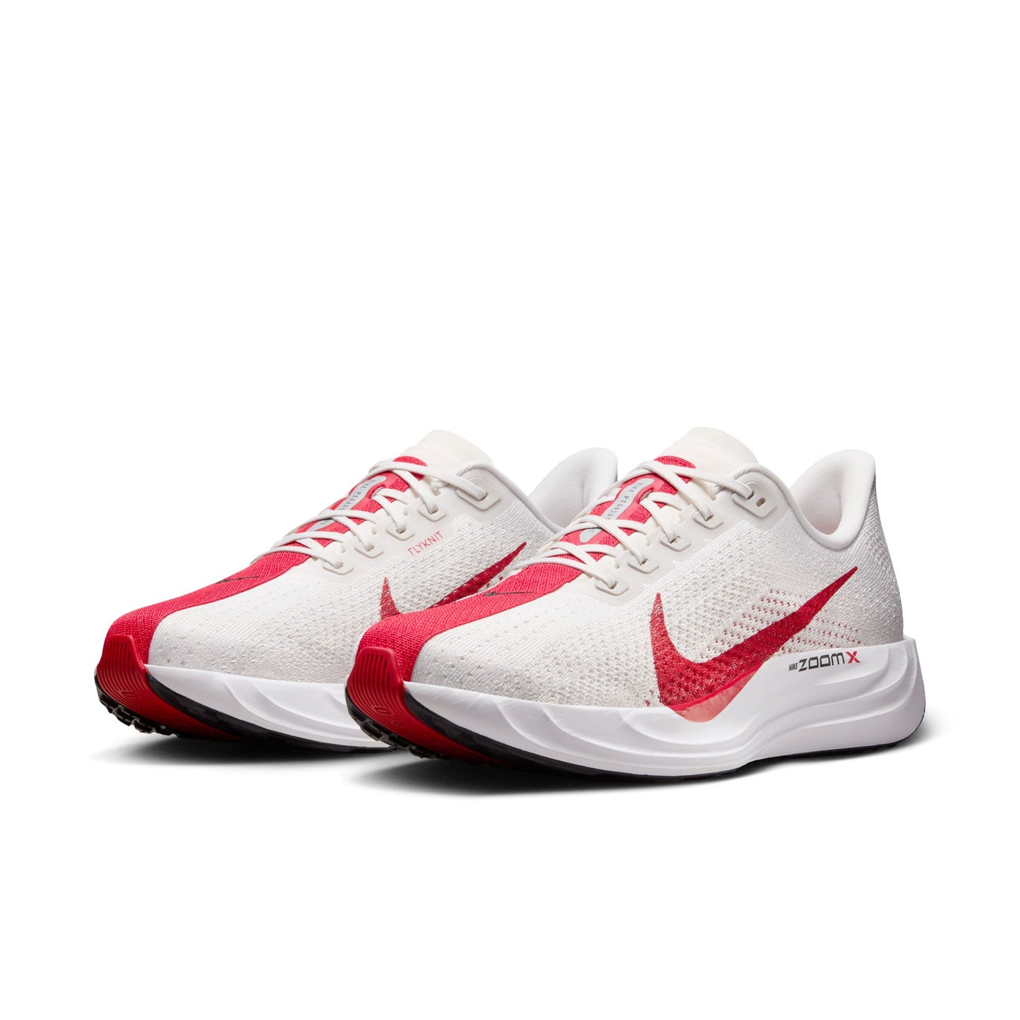 Mens Nike Pegasus Plus