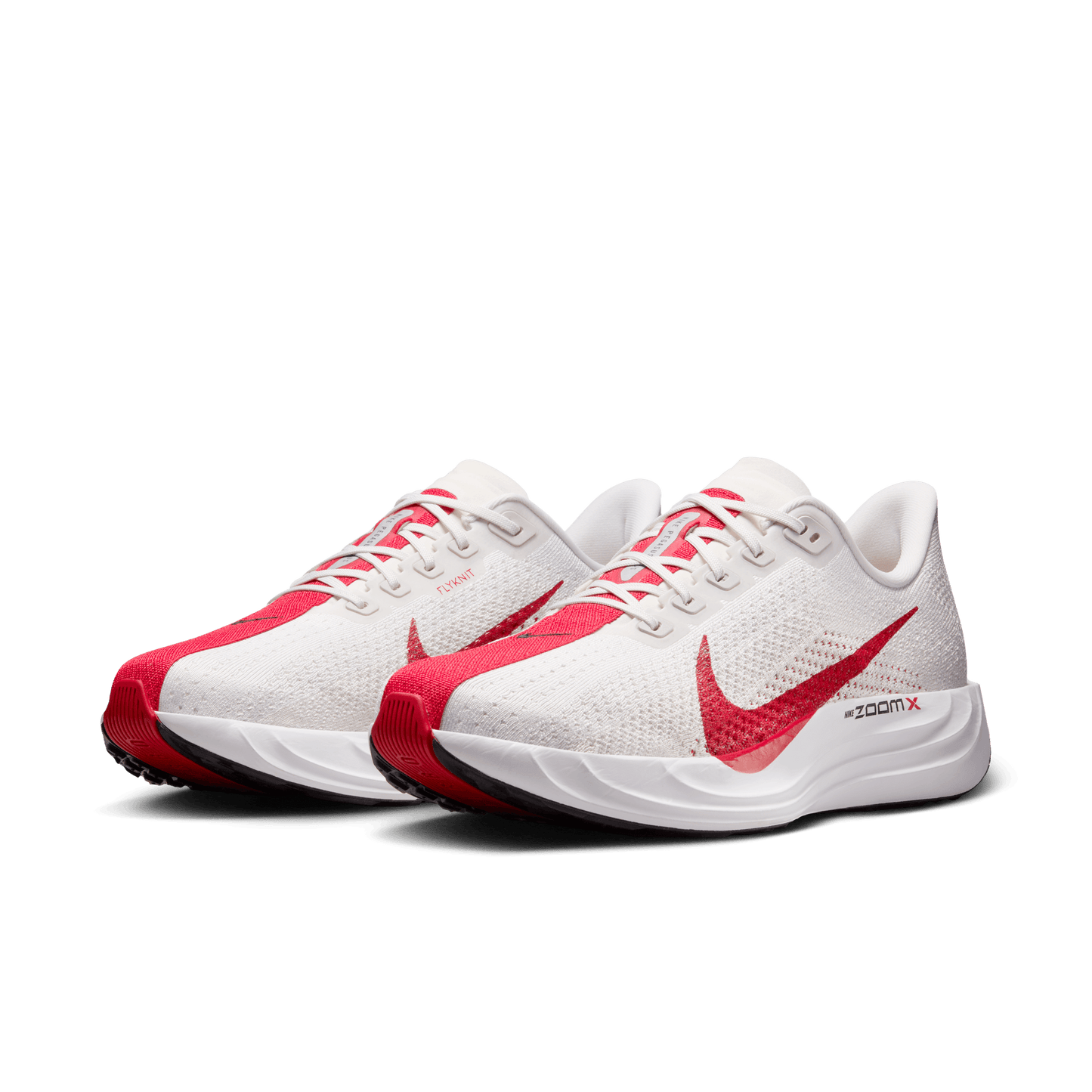 Mens Nike Pegasus Plus