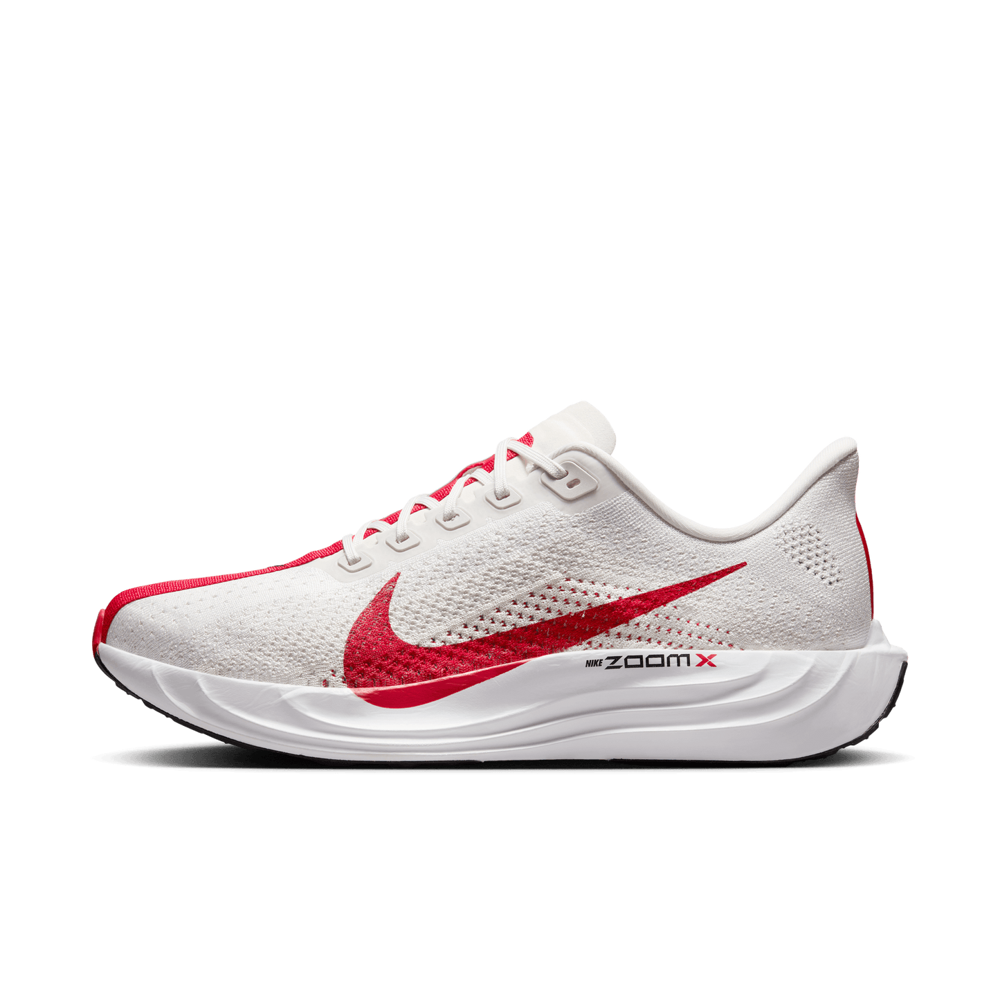 Mens Nike Pegasus Plus