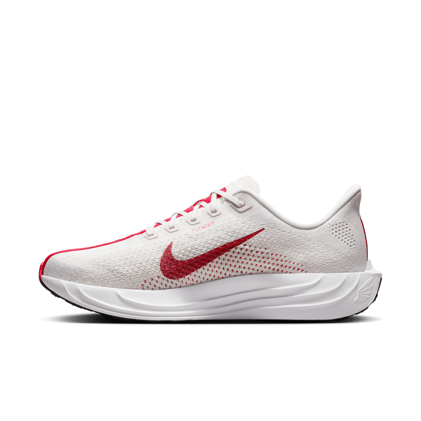 Mens Nike Pegasus Plus